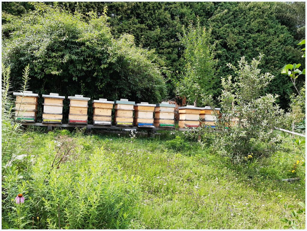 Bienenstand